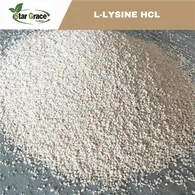 L-Lysine HCL Feed Grad