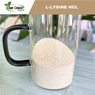 Lysine HCL 98.5%