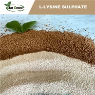 Lysine Sulfat