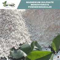 Magnesium Sulfate Monohydrate Kieserite