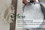 MDCP Monodicalcium Phosphate għall-Vjetnam