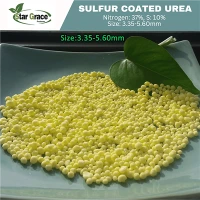 Soluzzjoni Aqueous Nanoscale Urea għal Vettura tal-Karozzi
