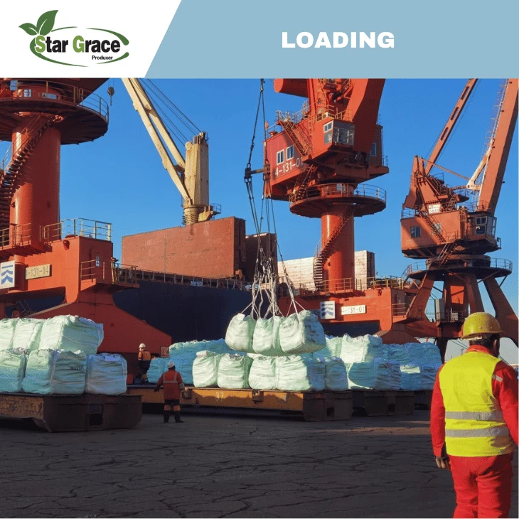 Ammonium Calcium Nitrate Fertiliser